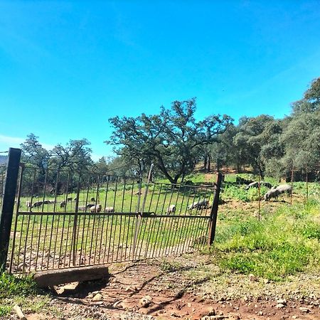 Casa Rural Alicia コルテガナ エクステリア 写真
