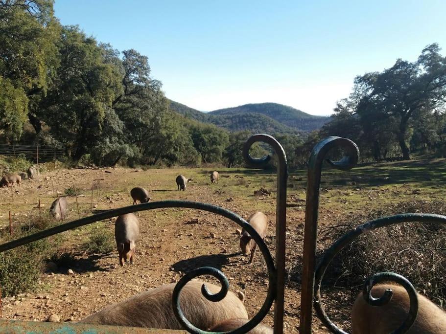 Casa Rural Alicia コルテガナ エクステリア 写真