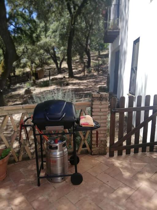 Casa Rural Alicia コルテガナ エクステリア 写真