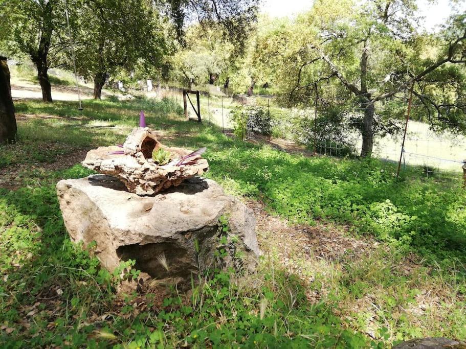 Casa Rural Alicia コルテガナ エクステリア 写真