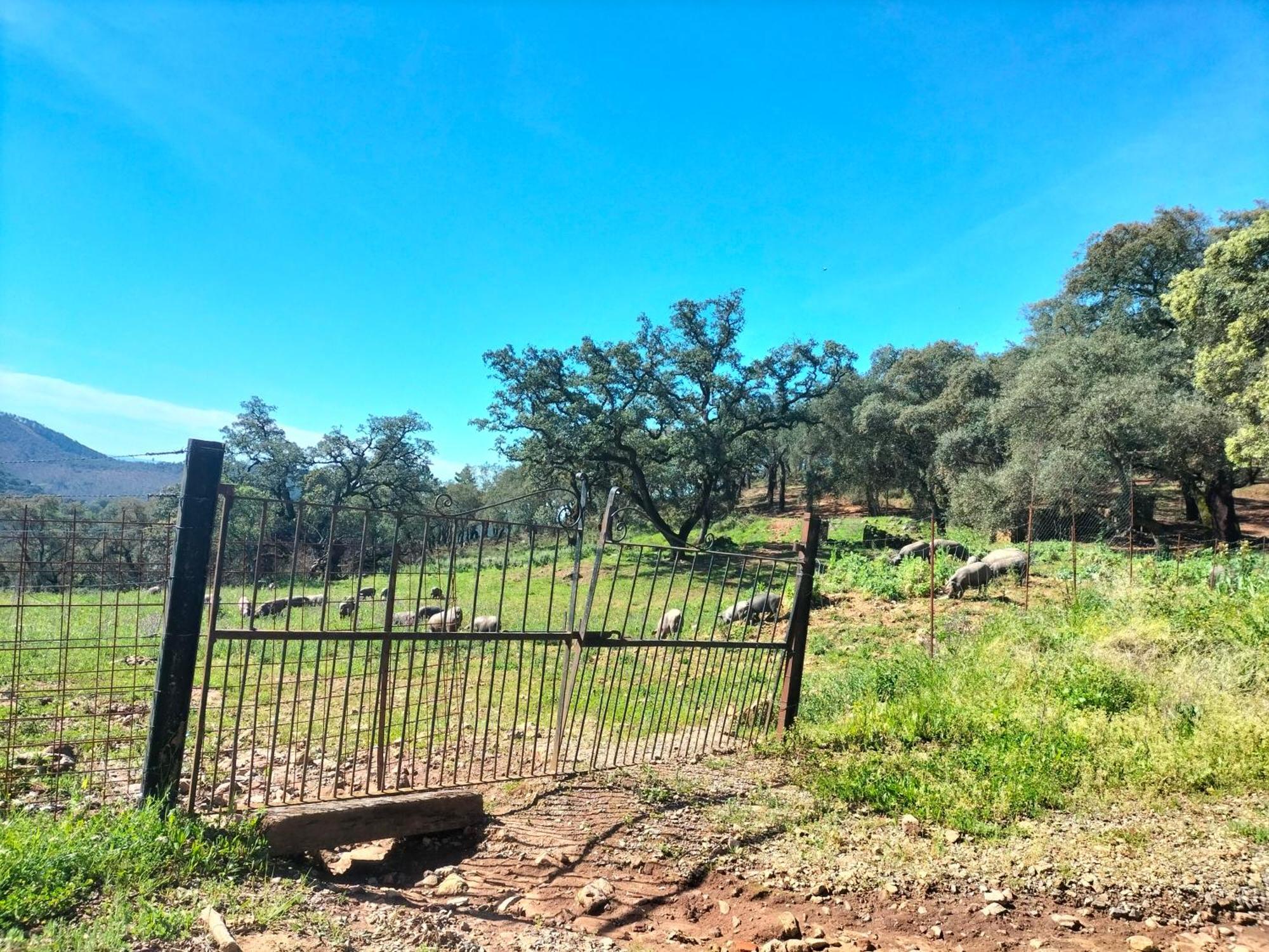 Casa Rural Alicia コルテガナ エクステリア 写真